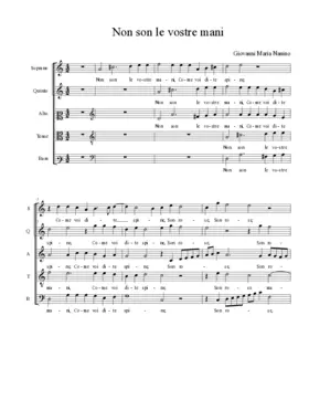 Non son le vostre mani