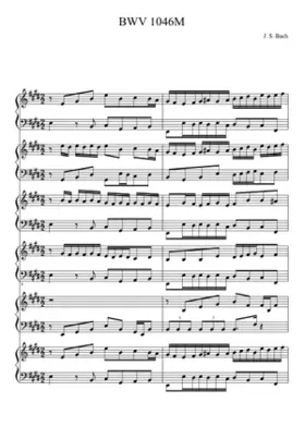 Brandenburg Concerto No.1 in F major BWV 1046