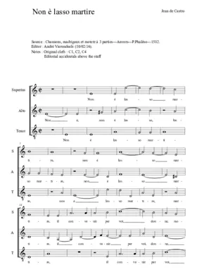 Non è lasso martire