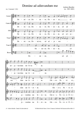 Domine ad adjuvandum me