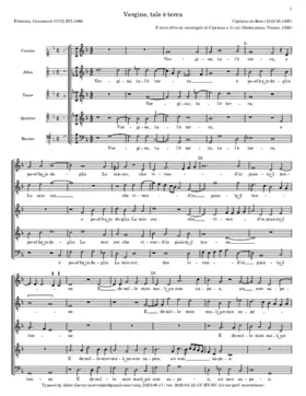 Vergine tale è terra