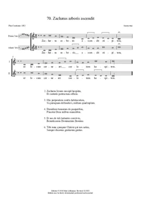 Zachaeus arboris ascendit