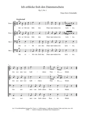 Ich erblicke froh den Dämmerschein