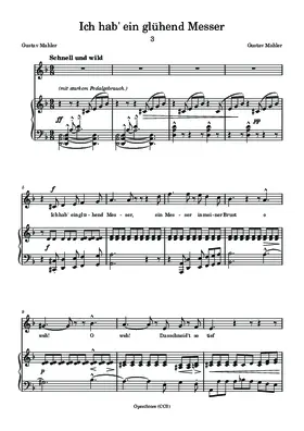 Ich hab’ ein glühend Messer