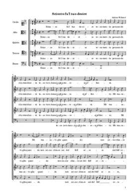 Sciocco fu'l tuo desire