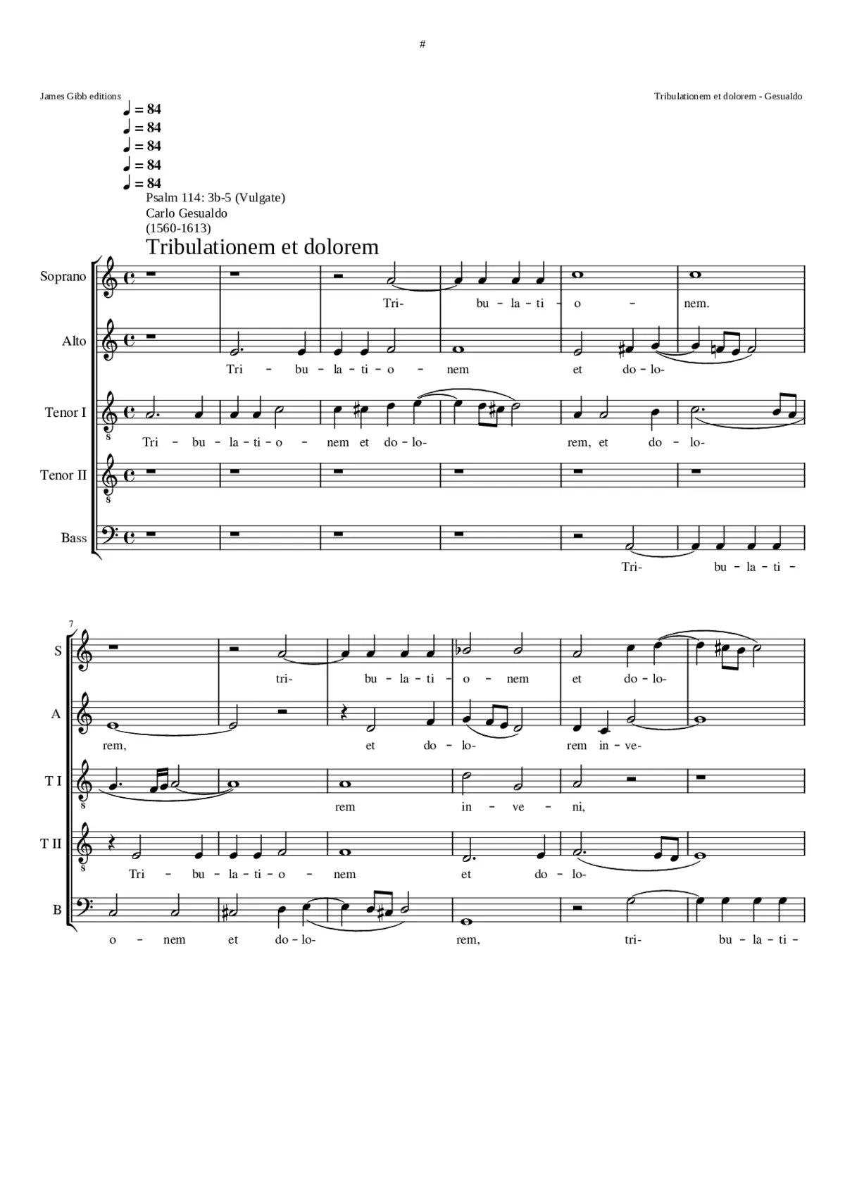 Tribulationem et dolorem - Page 1