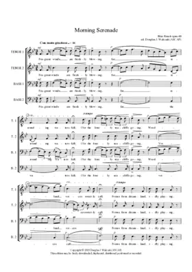 Morning serenade, Opus 48