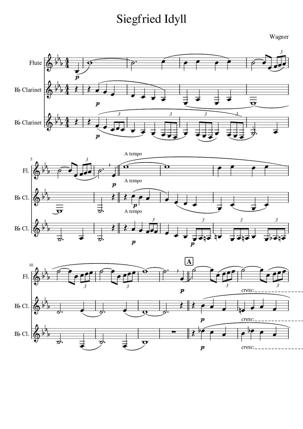 Siegfried-Idyll WWV 103 - Page 1