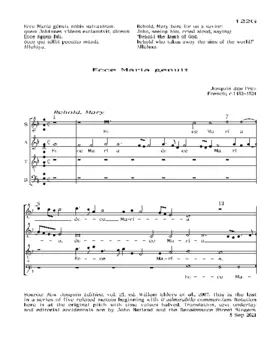 Ecce Maria genuit