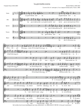 La giovinetta scorza