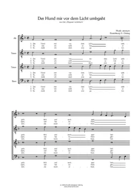 Der Hund mir vor dem Licht umbgaht