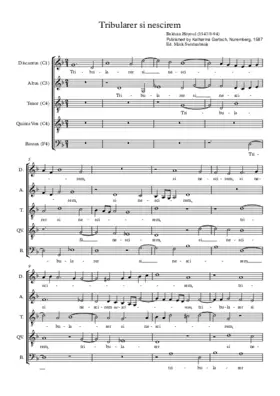 Tribularer si nescirem