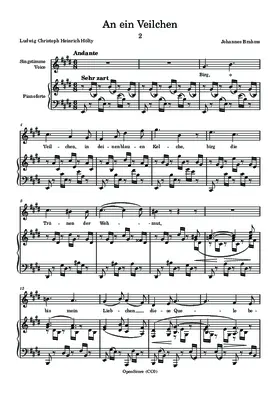 An ein Veilchen
