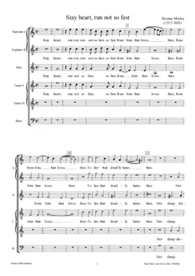 Stay heart, run not so fast