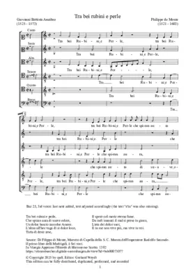 Tra bei rubini e perle