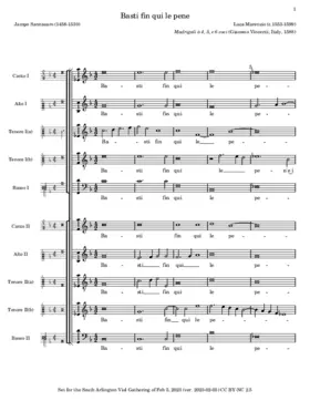 Basti fin qui le pene