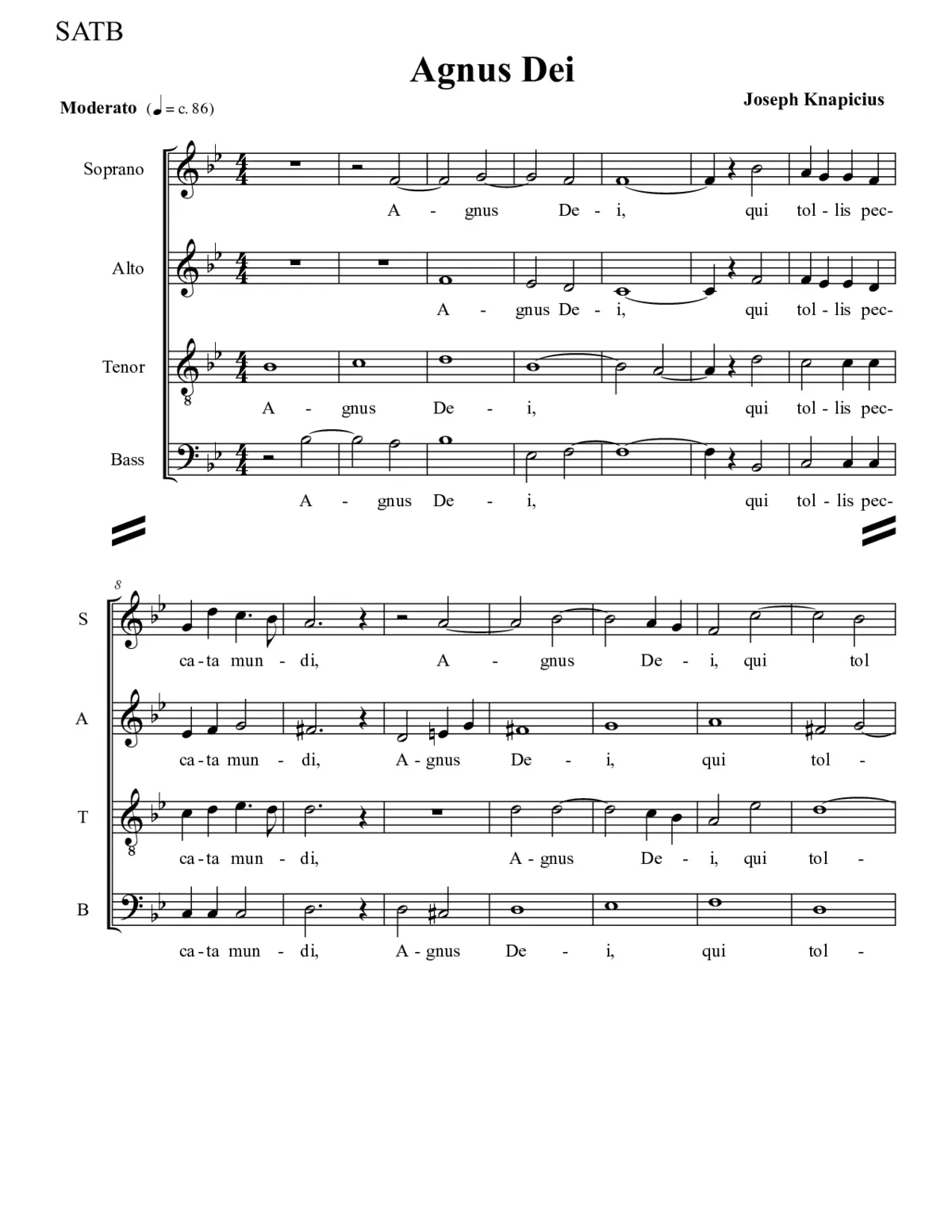 Agnus Dei - A Celebration of Life! - Page 1