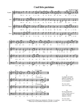 Cual lirio purísimo