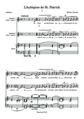 L’aubépine de Saint Patrick