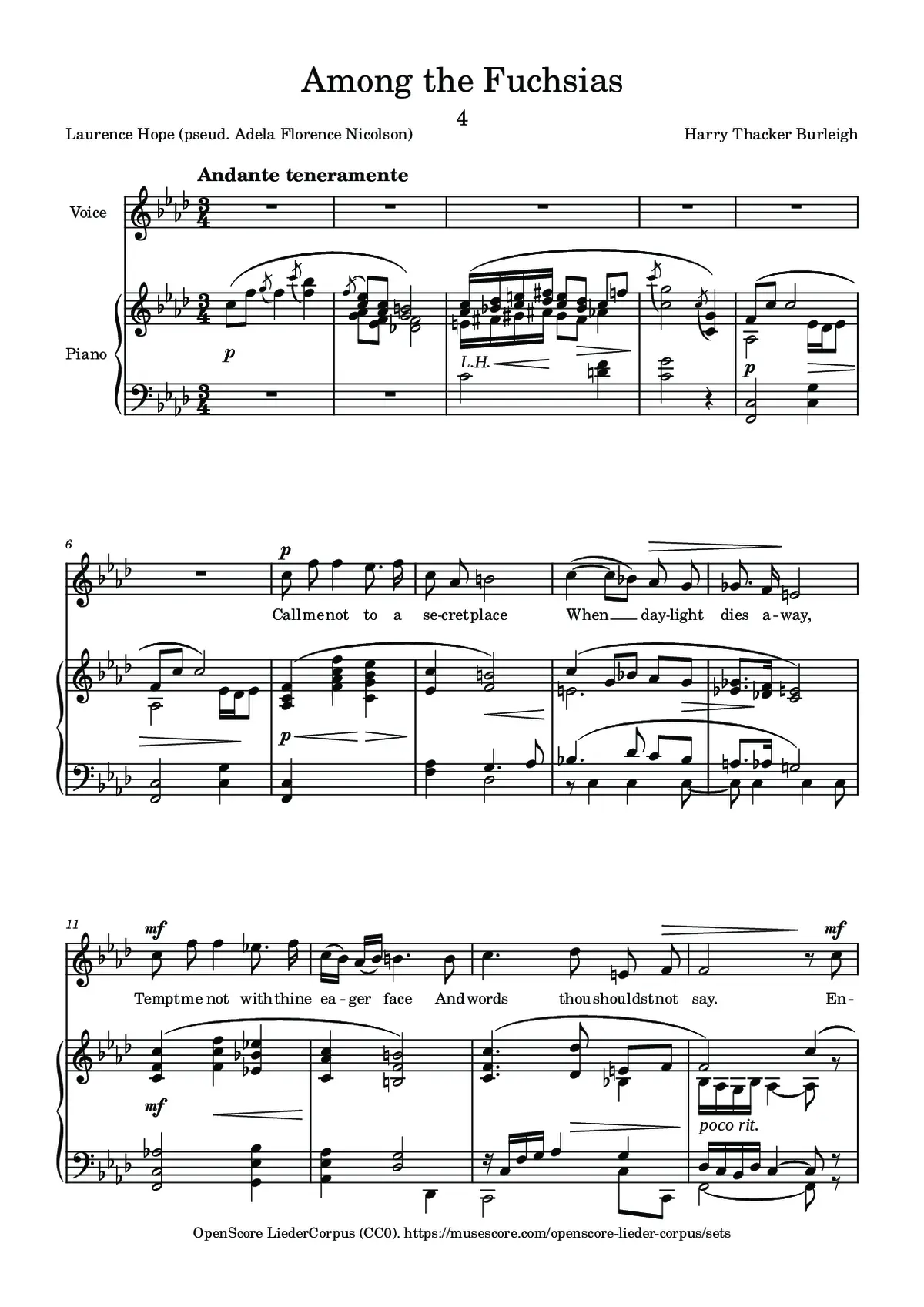 Among the Fuchsias - Page 1