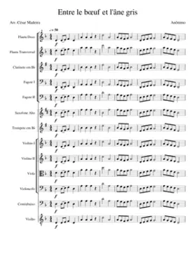 entre le bœuf et lâne gris