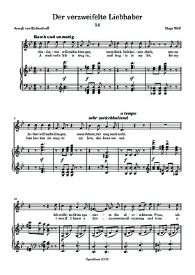 Der verzweifelte Liebhaber