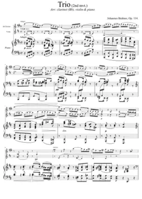 Clarinet Trio Op.114