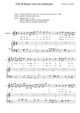 Chi d'Amor vive in tormento