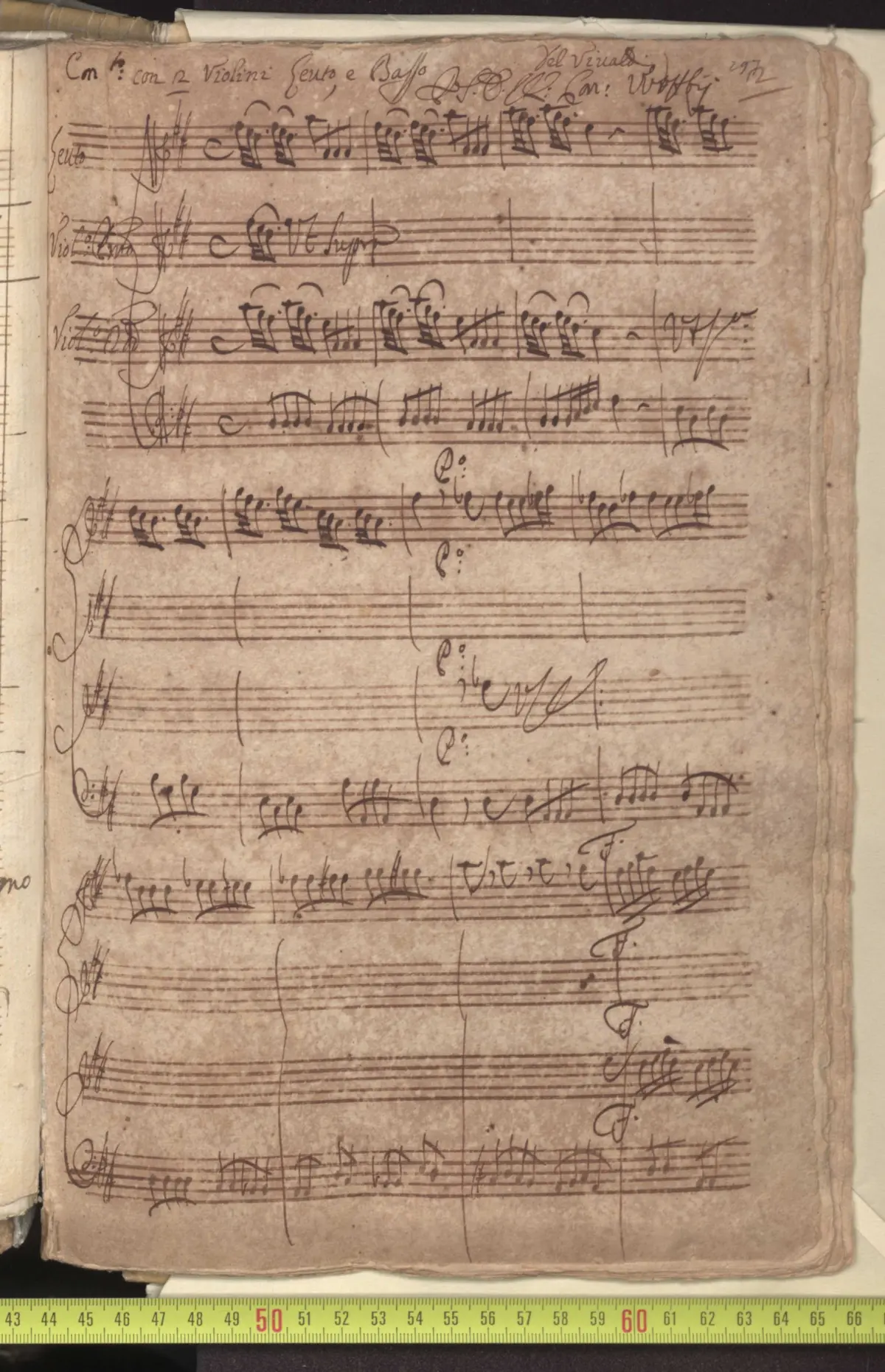 Chamber Concerto in D major - Page 1