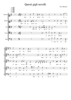 Questi gigli novelli