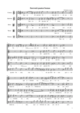 Surrexit pastor bonus