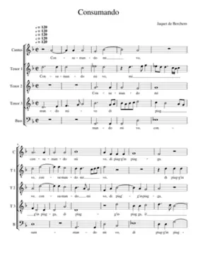 Consumando