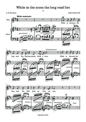 White in the moon the long road lies