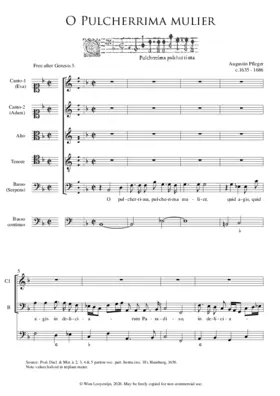 O pulcherrima mulier