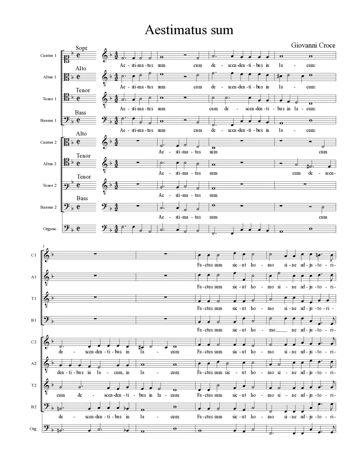 Aestimatus sum - Page 1