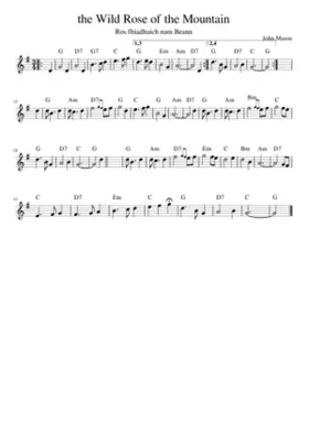 The Wild Rose of the Mountain