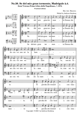 Se del mio gran tormento