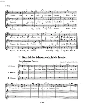 Kurz ist der Schmerz, und ewig ist die Freude, WoO 166