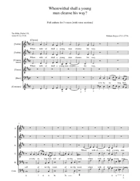 Wherewithal shall a young man cleanse his way