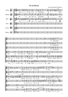 Tu es Petrus a 6