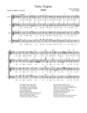 Salve Regina, D. 386