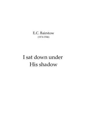 I sat down under his shadow