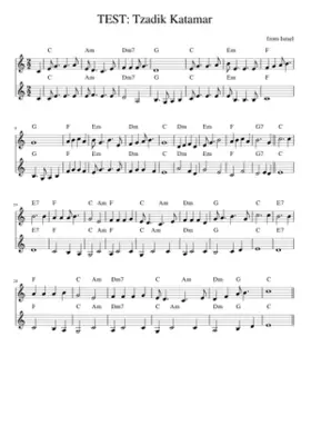 TEST: Tzadik Katamar -----