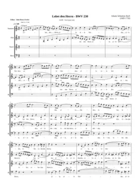 Lobet den Herrn alle Heiden BWV 230
