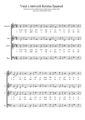 Vstal z mrtvých Kristus Spasitel