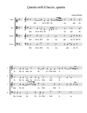 Questa ordì il laccio, questa