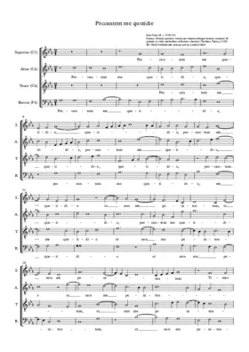 Peccantem me quotidie