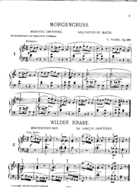 35 Leichte Etüden