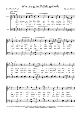 Wie prangt im Frühlingskleide