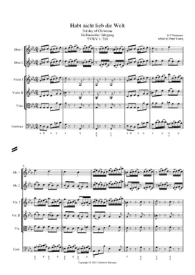 Habt nicht lieb die Welt